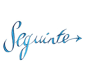 Seguinte