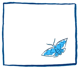 Capítulo Quarto